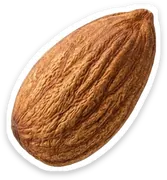 almond