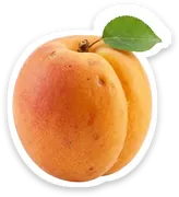 apricot