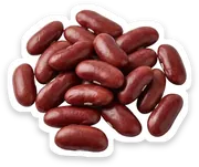bean