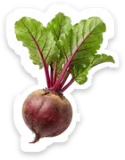 beet