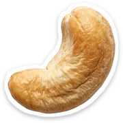 cashew