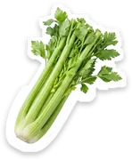 celery