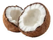 coconut