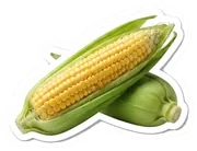corn