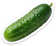 cucumber