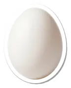 egg