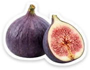 fig