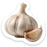 garlic