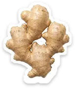 ginger
