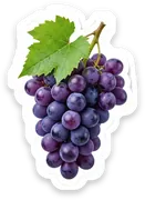 grape