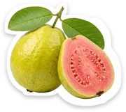 guava