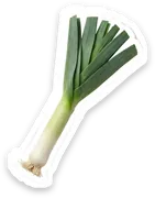leek