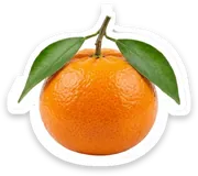 mandarin