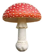 mushroom