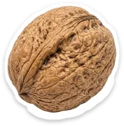 nut