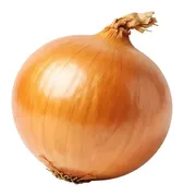onion