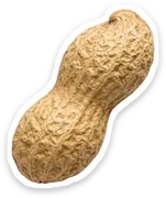 peanut