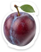 plum