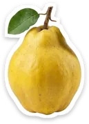 quince