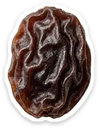 raisin