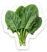 spinach