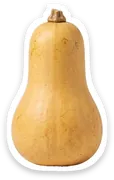 squash