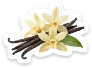 vanilla