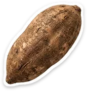 yam